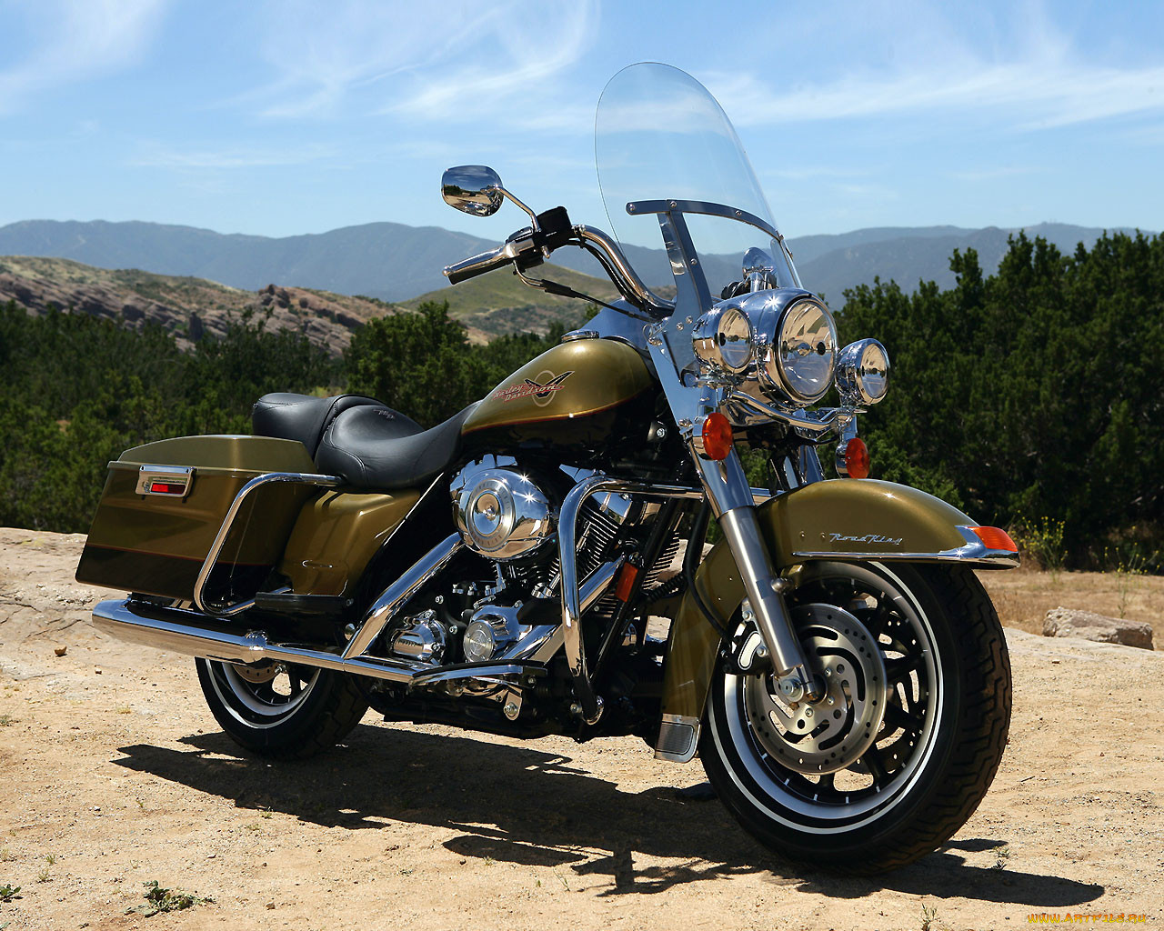 , harley, davidson